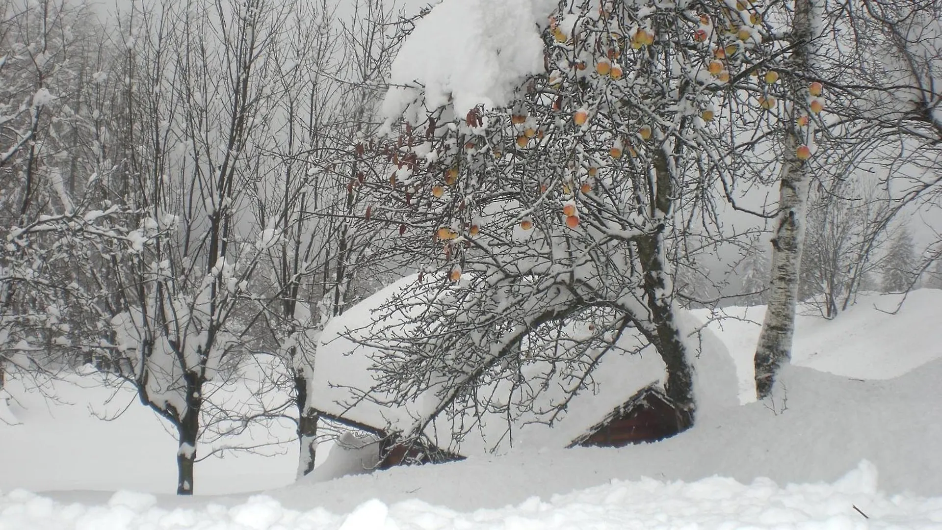 Baita Fraina Cortina d'Ampezzo Bed & Breakfast